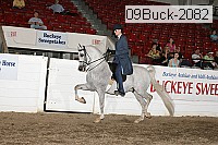 09buck-2082 proof