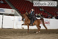 09buck-2083 proof