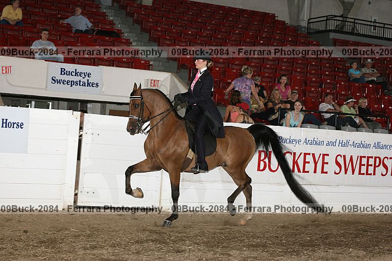 Proof 09buck-2084