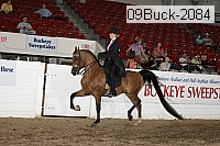 09buck-2084 proof