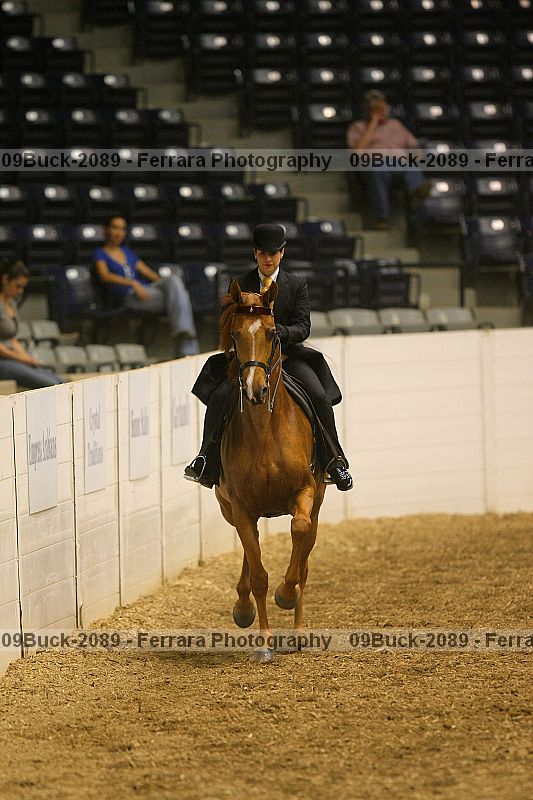Proof 09buck-2089