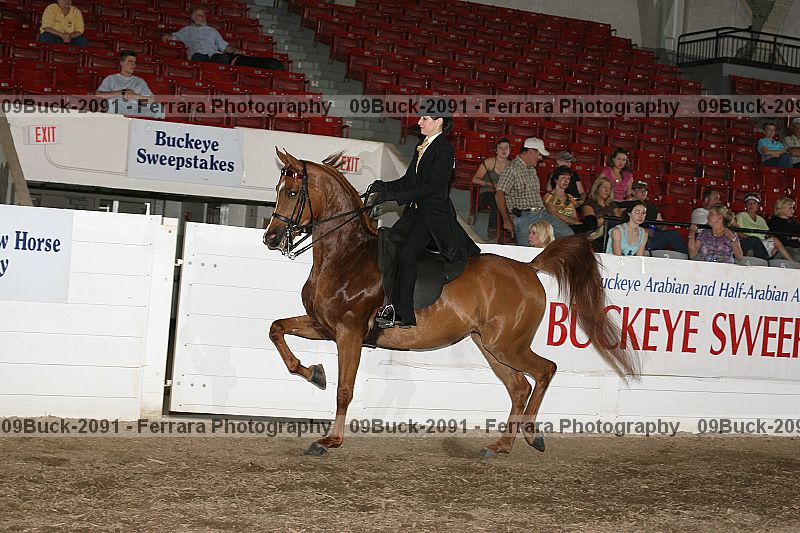 Proof 09buck-2091