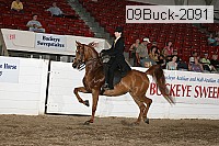 09buck-2091 proof