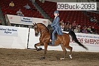 09buck-2093 proof