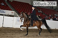 09buck-2094 proof