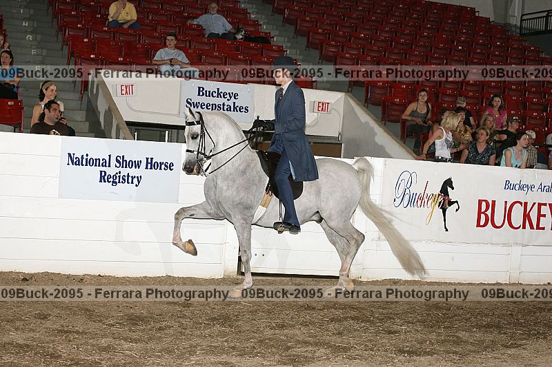 Proof 09buck-2095