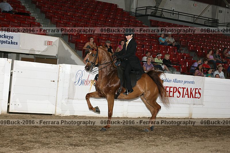 Proof 09buck-2096