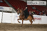 09buck-2096 proof