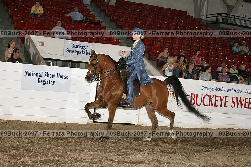 Proof 09buck-2097