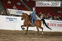 09buck-2097 proof