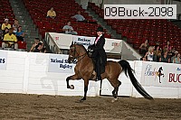 09buck-2098 proof
