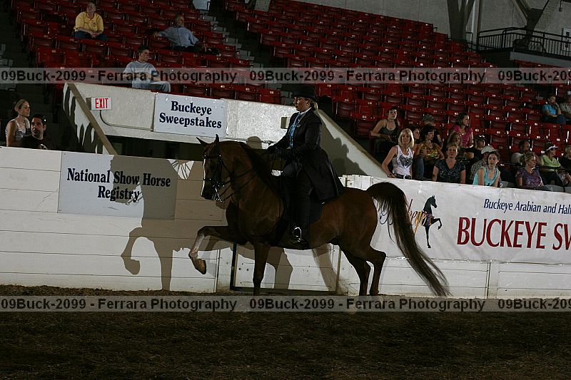 Proof 09buck-2099