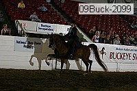 09buck-2099 proof