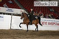 09buck-2101 proof