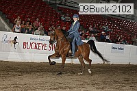 09buck-2102 proof