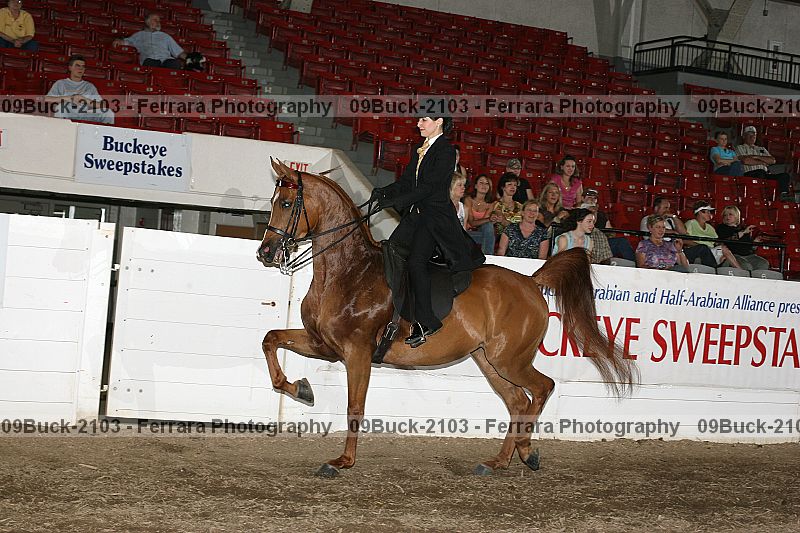 Proof 09buck-2103