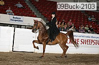 09buck-2103 proof