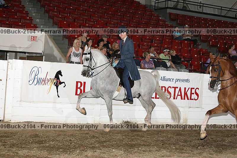 Proof 09buck-2104