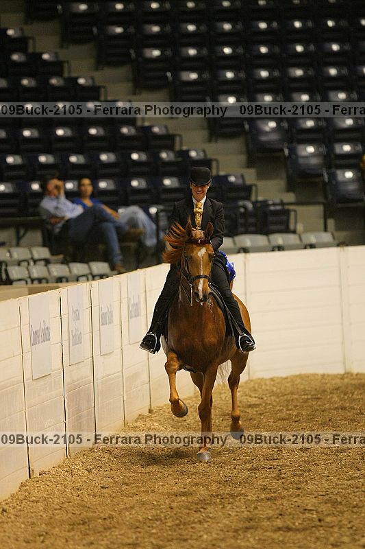 Proof 09buck-2105