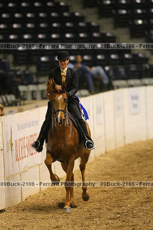 Proof 09buck-2106