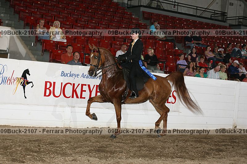 Proof 09buck-2107
