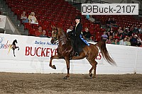 09buck-2107 proof