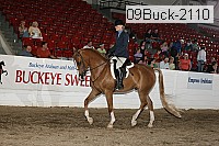 09buck-2110 proof