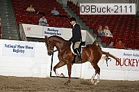 09buck-2111 proof
