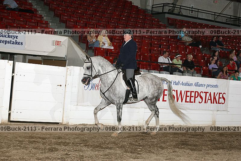 Proof 09buck-2113