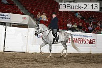 09buck-2113 proof