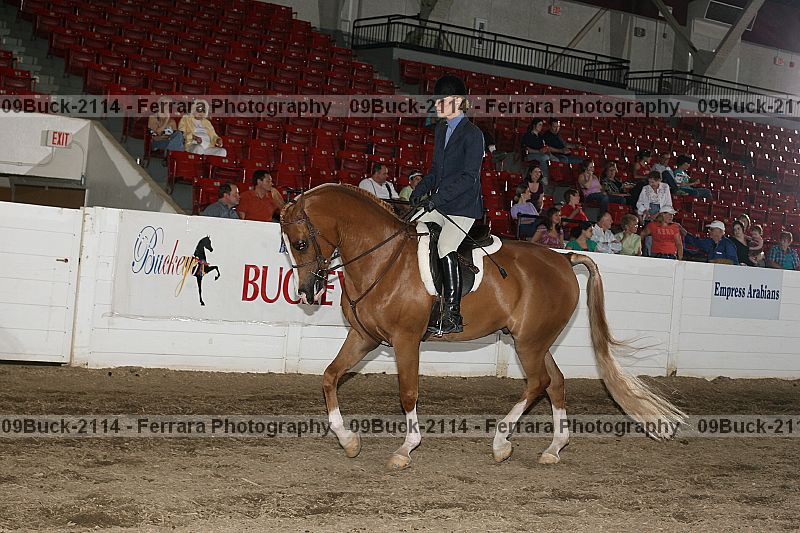 Proof 09buck-2114