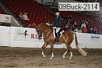 09buck-2114 proof