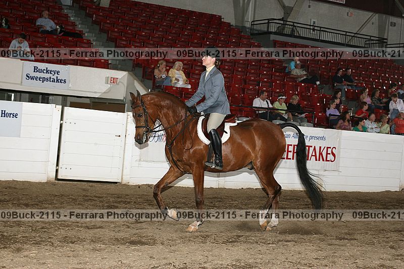 Proof 09buck-2115