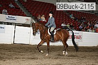 09buck-2115 proof