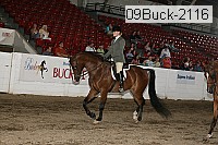 09buck-2116 proof