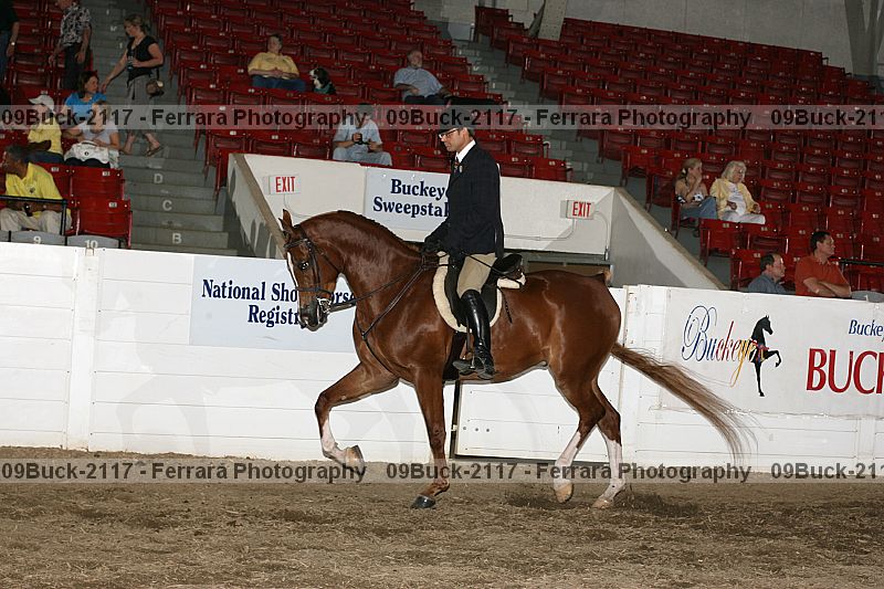Proof 09buck-2117