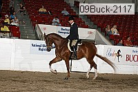 09buck-2117 proof