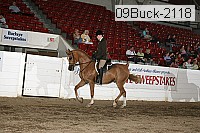 09buck-2118 proof
