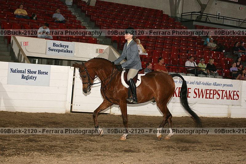 Proof 09buck-2120