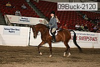 09buck-2120 proof