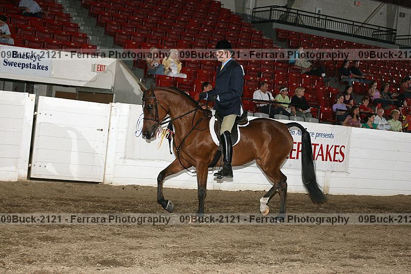 Proof 09buck-2121