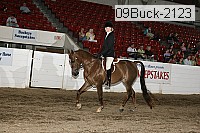 09buck-2123 proof