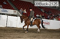 09buck-2125 proof