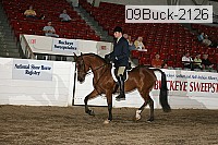 09buck-2126 proof