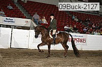 09buck-2127 proof