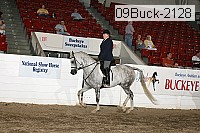 09buck-2128 proof