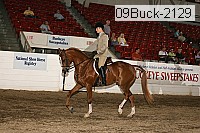 09buck-2129 proof