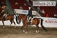 09buck-2130 proof