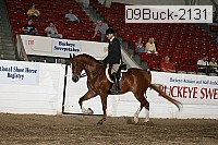 09buck-2131 proof