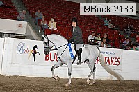 09buck-2133 proof